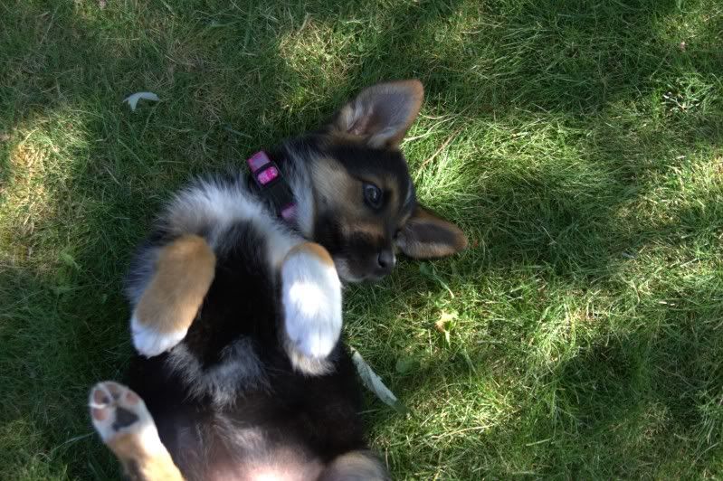 IMAGE: http://i56.photobucket.com/albums/g196/matt9901/_MG_3836.jpg