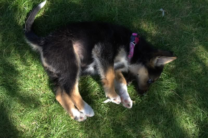 IMAGE: http://i56.photobucket.com/albums/g196/matt9901/_MG_3846.jpg