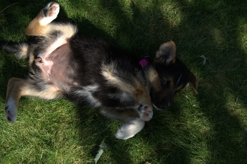 IMAGE: http://i56.photobucket.com/albums/g196/matt9901/_MG_3847.jpg