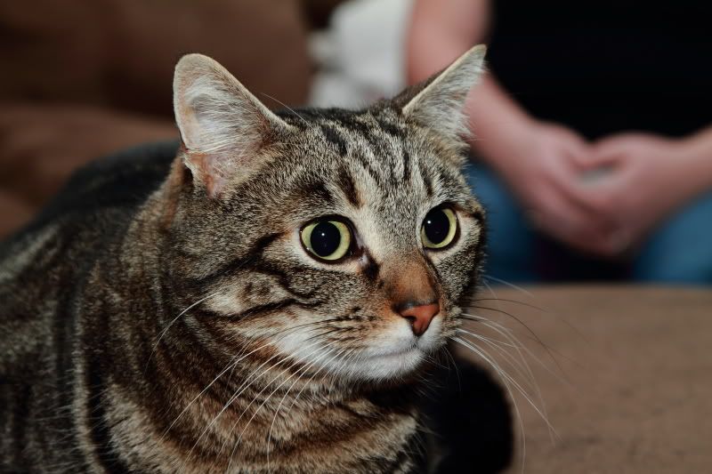 IMAGE: http://i56.photobucket.com/albums/g196/matt9901/_MG_5764.jpg