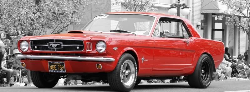 IMAGE: http://i56.photobucket.com/albums/g196/matt9901/mustang.jpg
