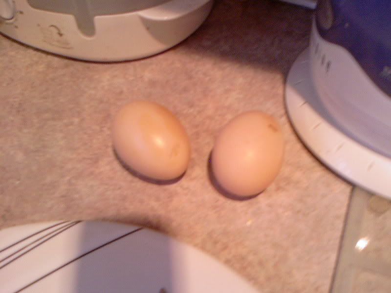 eggs_000.jpg