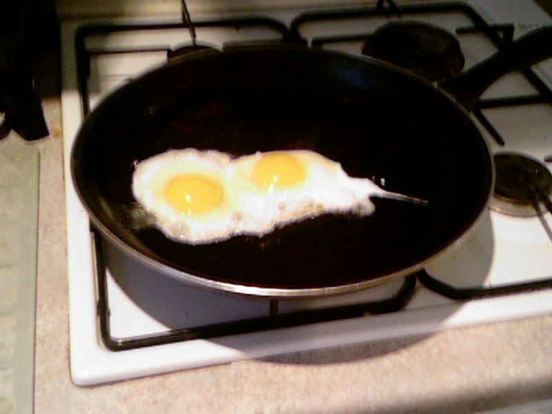 friedegg_001.jpg