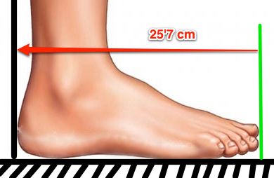 CENTIMETROS A PIE centimetros a pie: