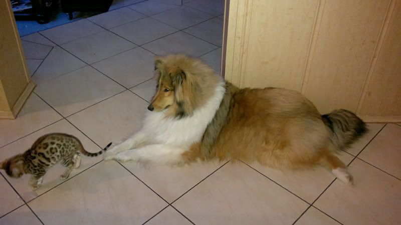 20110201130.jpg