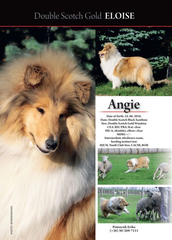 Angie-2.jpg