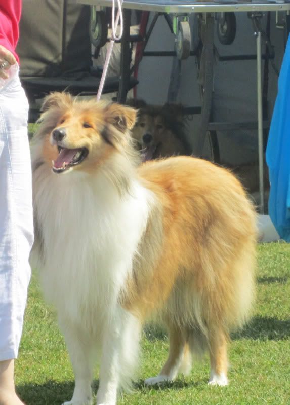 Angie110827.jpg