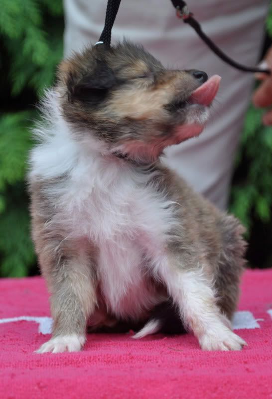 DSC_0742.jpg
