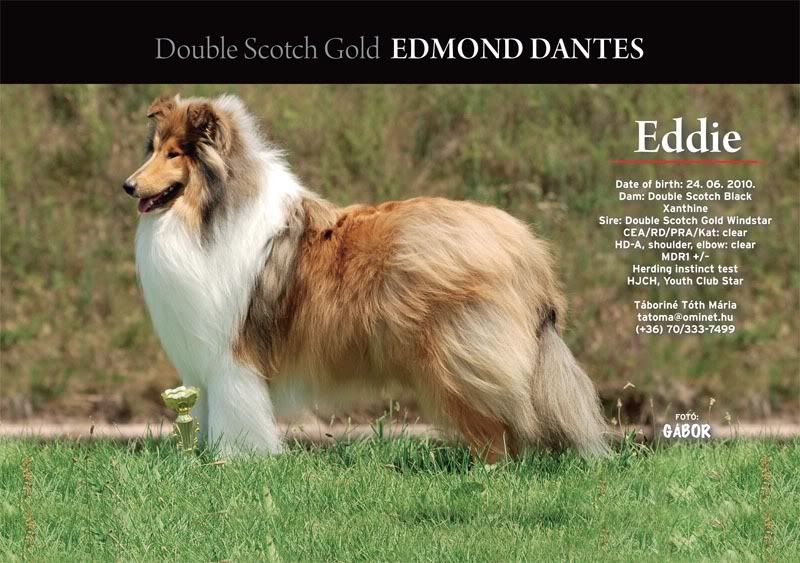 Eddie.jpg