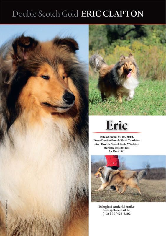 Eric.jpg