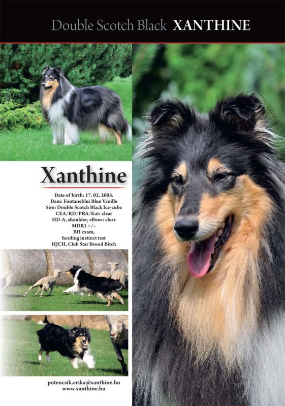 Xanthine-1.jpg