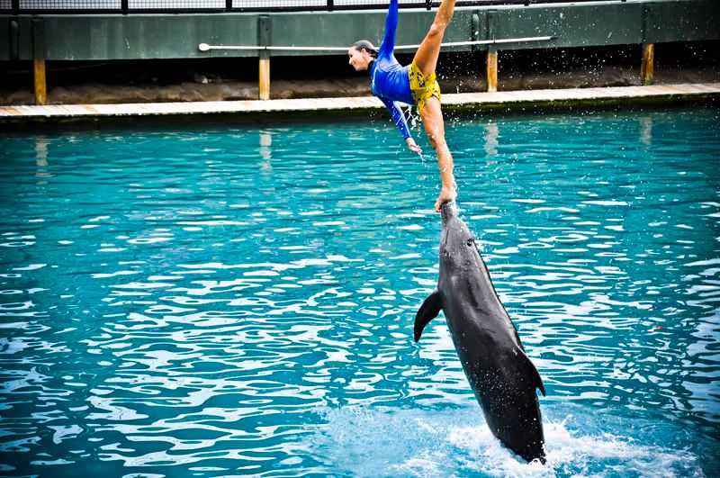 _DSC0167.jpg