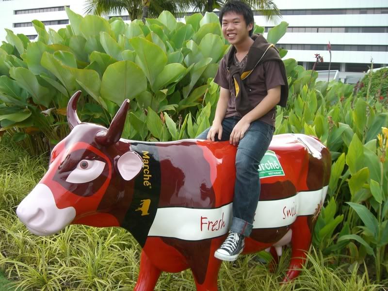 Photo Sharing and Video Hosting at Photobucket