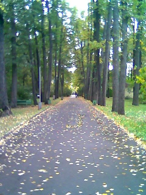 Василина Орлова