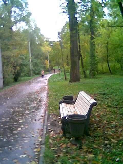 Василина Орлова