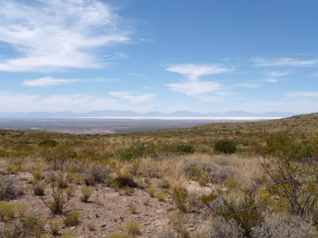DSCN300722.jpg