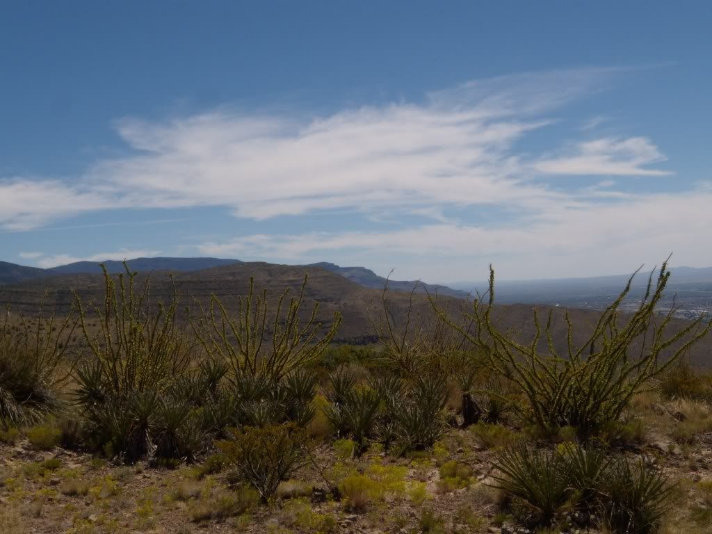 DSCN302035.jpg