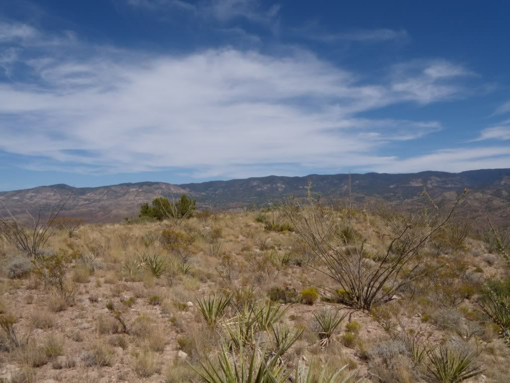 DSCN304358.jpg