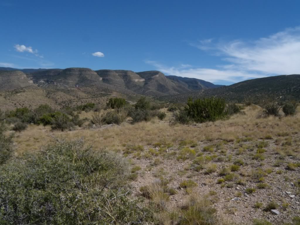 DSCN306681.jpg