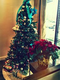 photo Christmas-Tree-Lobby.jpg