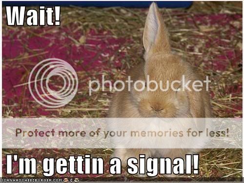  photo funny-pictures-bunny-rabbit-antenna.jpg