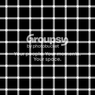 320px Grid Illusion