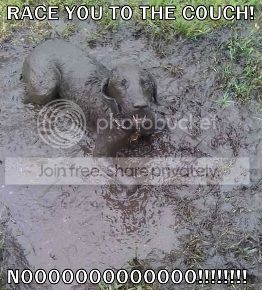 CouchRace