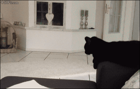 GIVEME5ONTHEBLACKHANDSIDE 4e2107 41