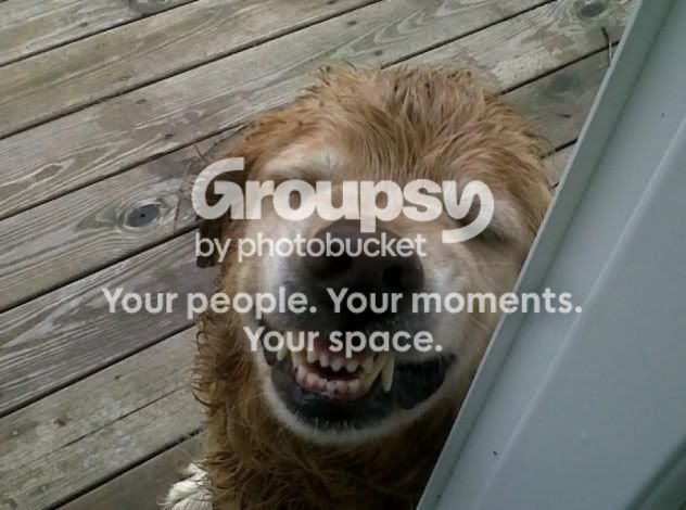 Goofy Grin 632x470