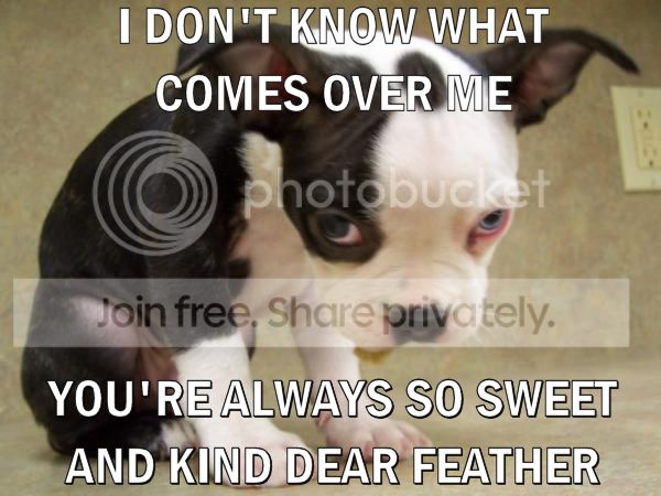 SORRYPSKETTI2 Zpsfe3e2adb