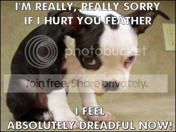 SORRYPSKETTI Zps30e2fa89
