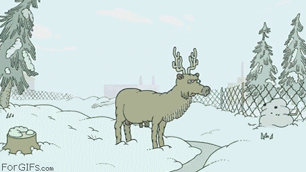 Anigif Enhanced Buzz 15651 13559413