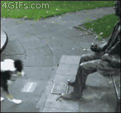Anigif Enhanced Buzz 3237 135560895