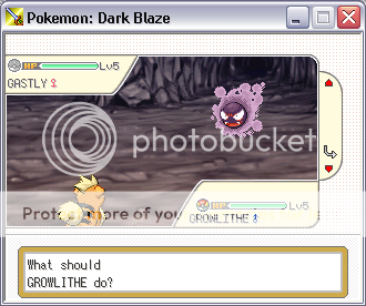 POKEMON: Dark Blaze