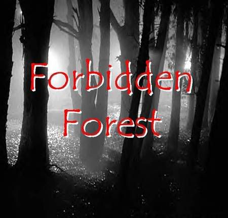 http://fourbidenforest.proboards45.com/index.cgi