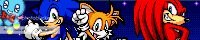 ~Sonic The Hedgehog Guild~ banner