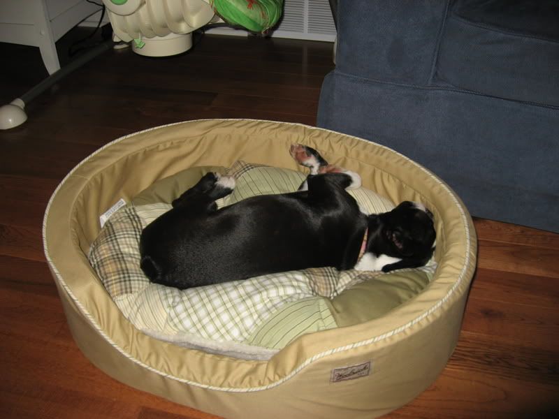 Photo Sharing and Video Hosting at Photobucket