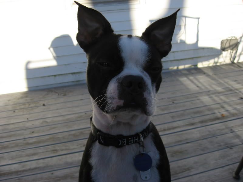 Photo Sharing and Video Hosting at Photobucket
