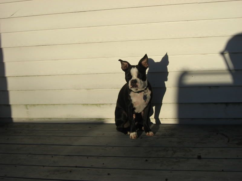 Photo Sharing and Video Hosting at Photobucket