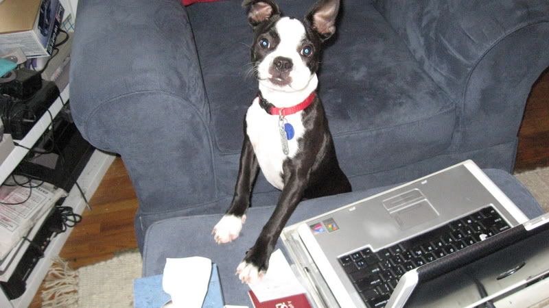 Photobucket - Video and Image Hosting