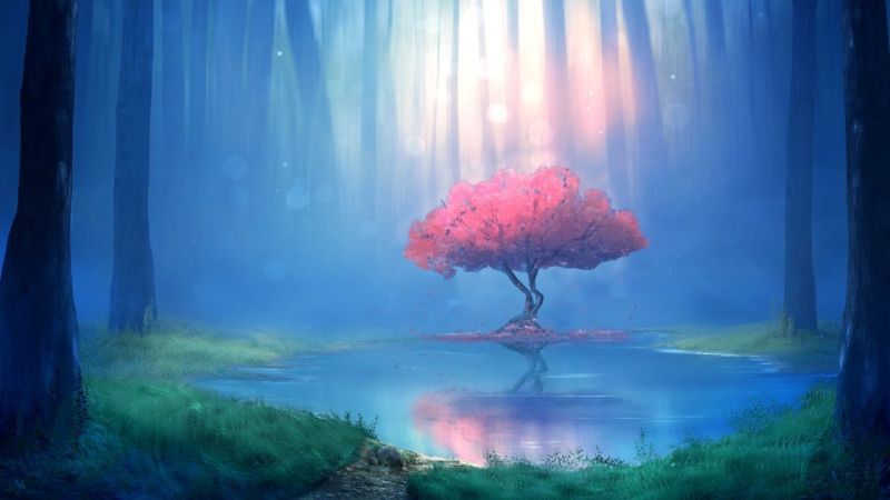 photo mysitical_forests.jpg