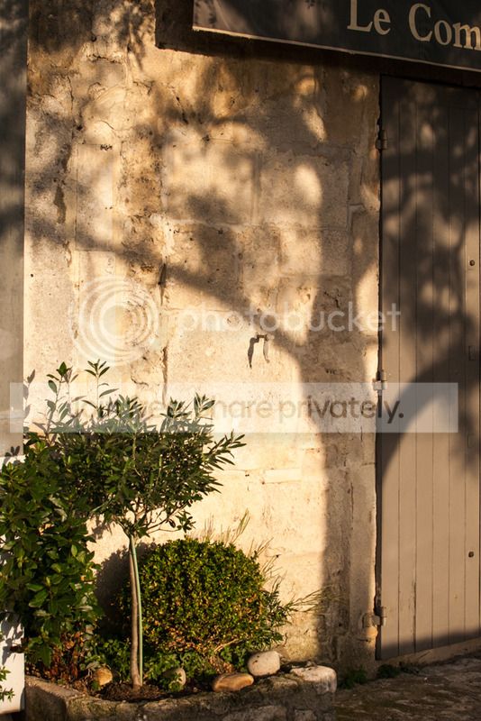 photo IMG_8768.jpg