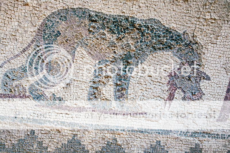  photo IMG_8727_1-1.jpg