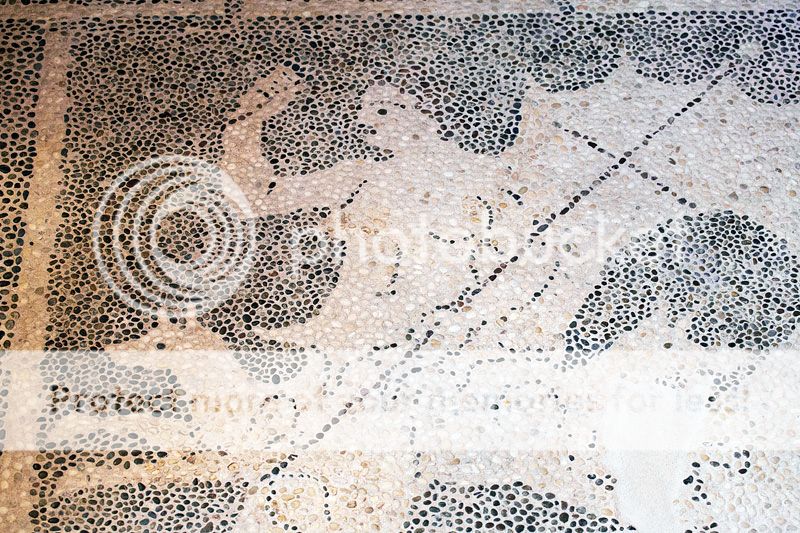  photo IMG_8743_1.jpg