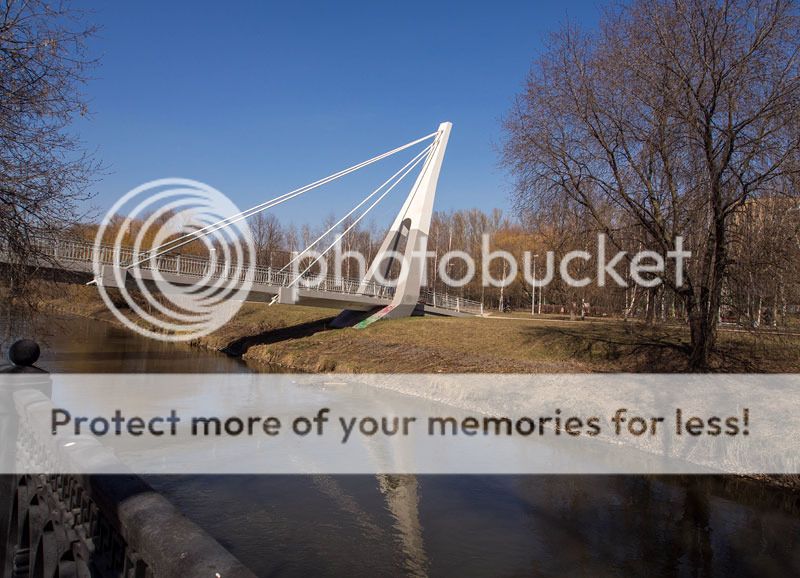  photo P4120682_1.jpg