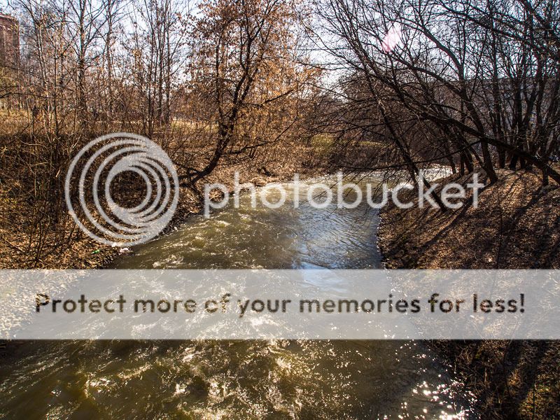  photo P4120687_1.jpg