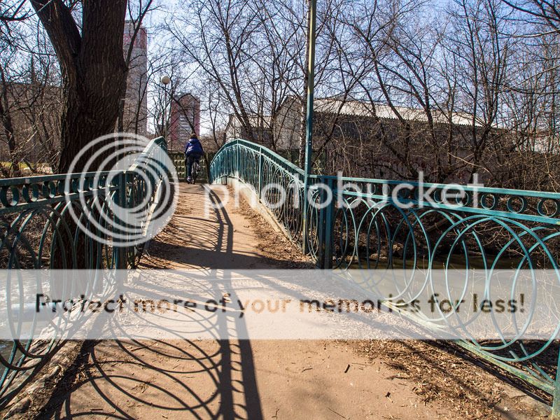  photo P4120689_1.jpg